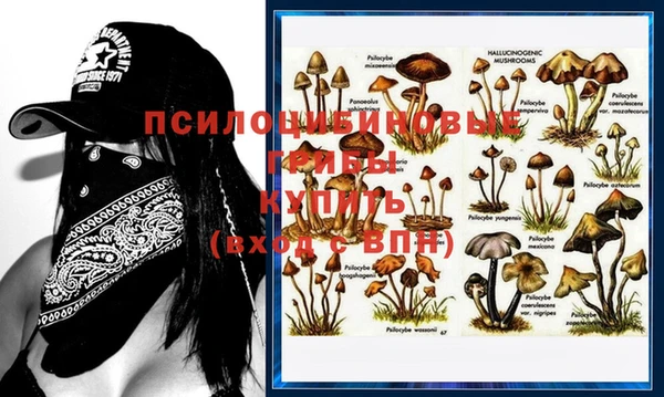 метамфетамин Богданович
