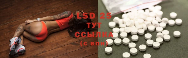 хмурый Богородицк