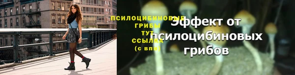 марки nbome Пролетарск