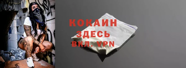 хмурый Богородицк