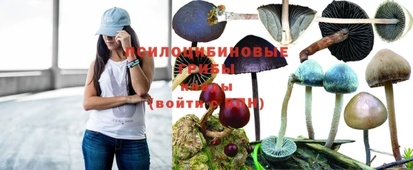 метамфетамин Богданович