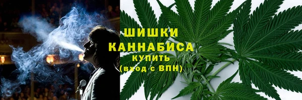 хмурый Богородицк