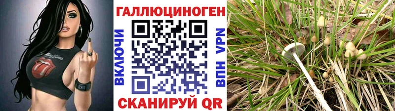 Галлюциногенные грибы ЛСД  Волжск 
